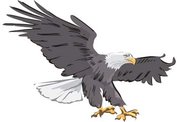 350x242 Free Download Of Eagle Vector Graphics And Illustrations