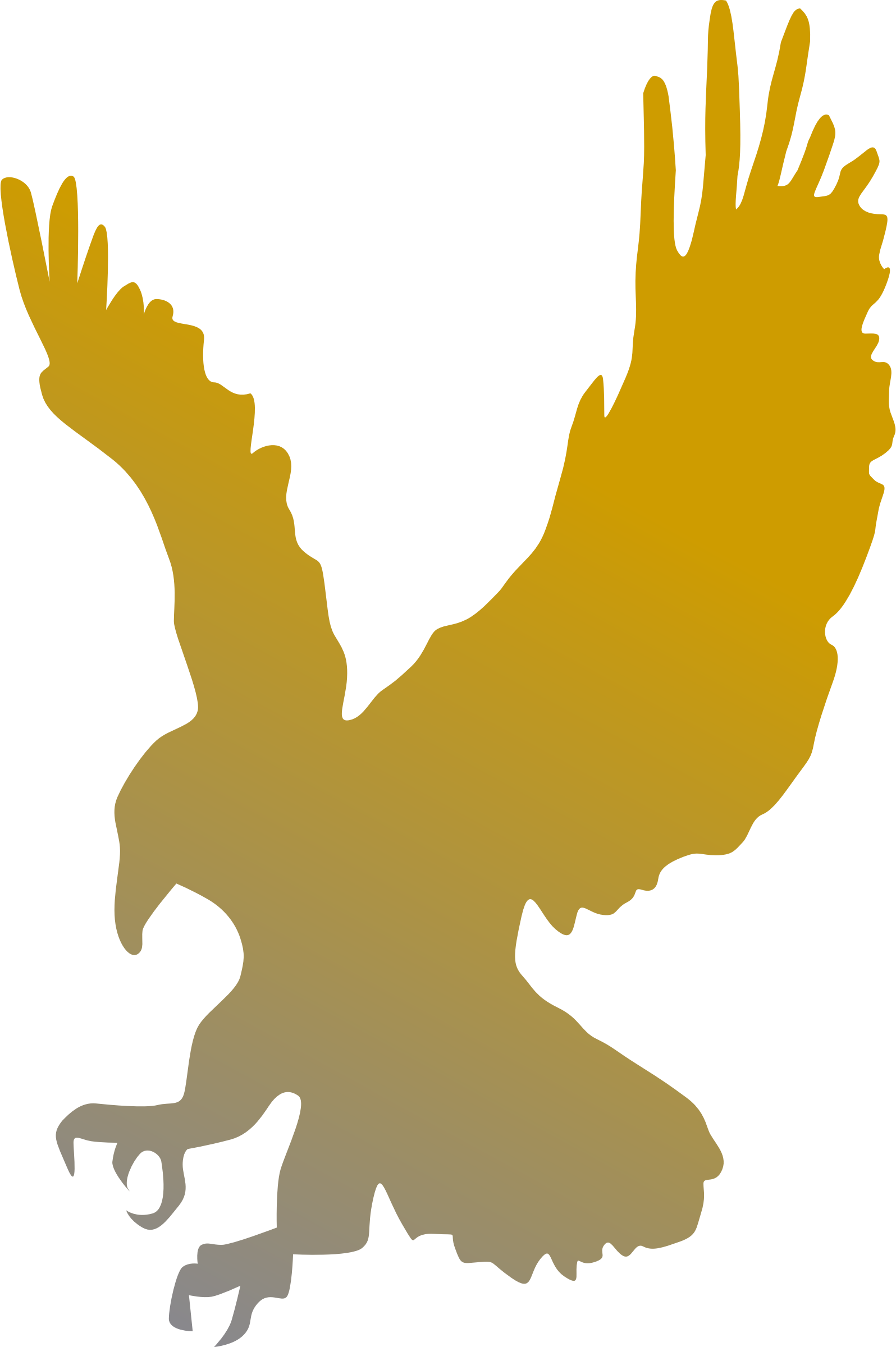 1596x2400 Golden Eagle Vector Clipart Image
