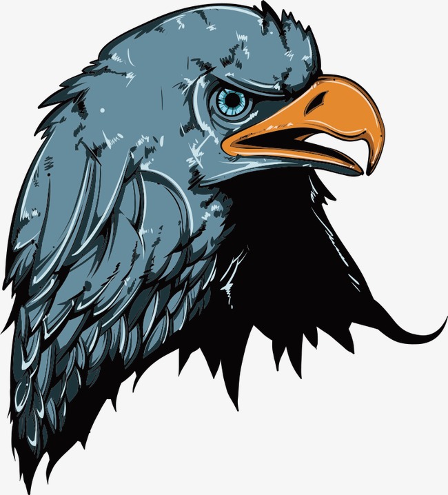 650x718 Vector Eagle, Eagle Vector, Cartoon Animals, Animal Illustration