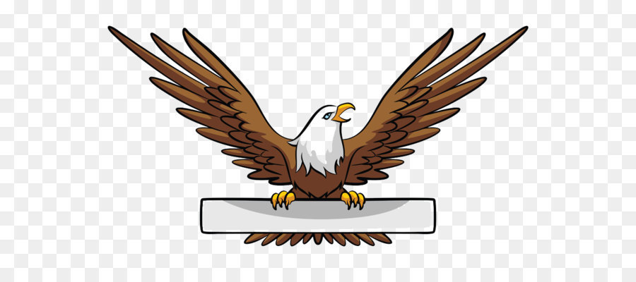 900x400 Bald Eagle Banner Illustration