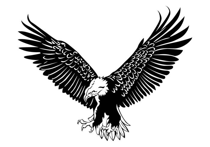 700x490 Eagle Vector