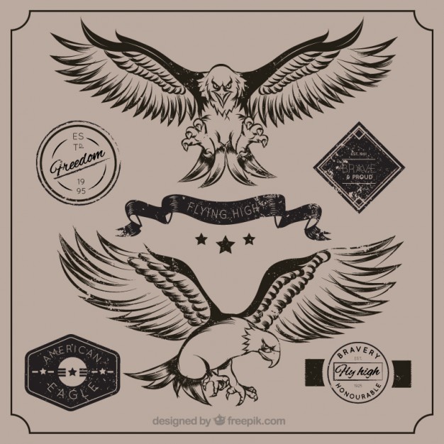626x626 American Eagle Vectors, Photos And Psd Files Free Download