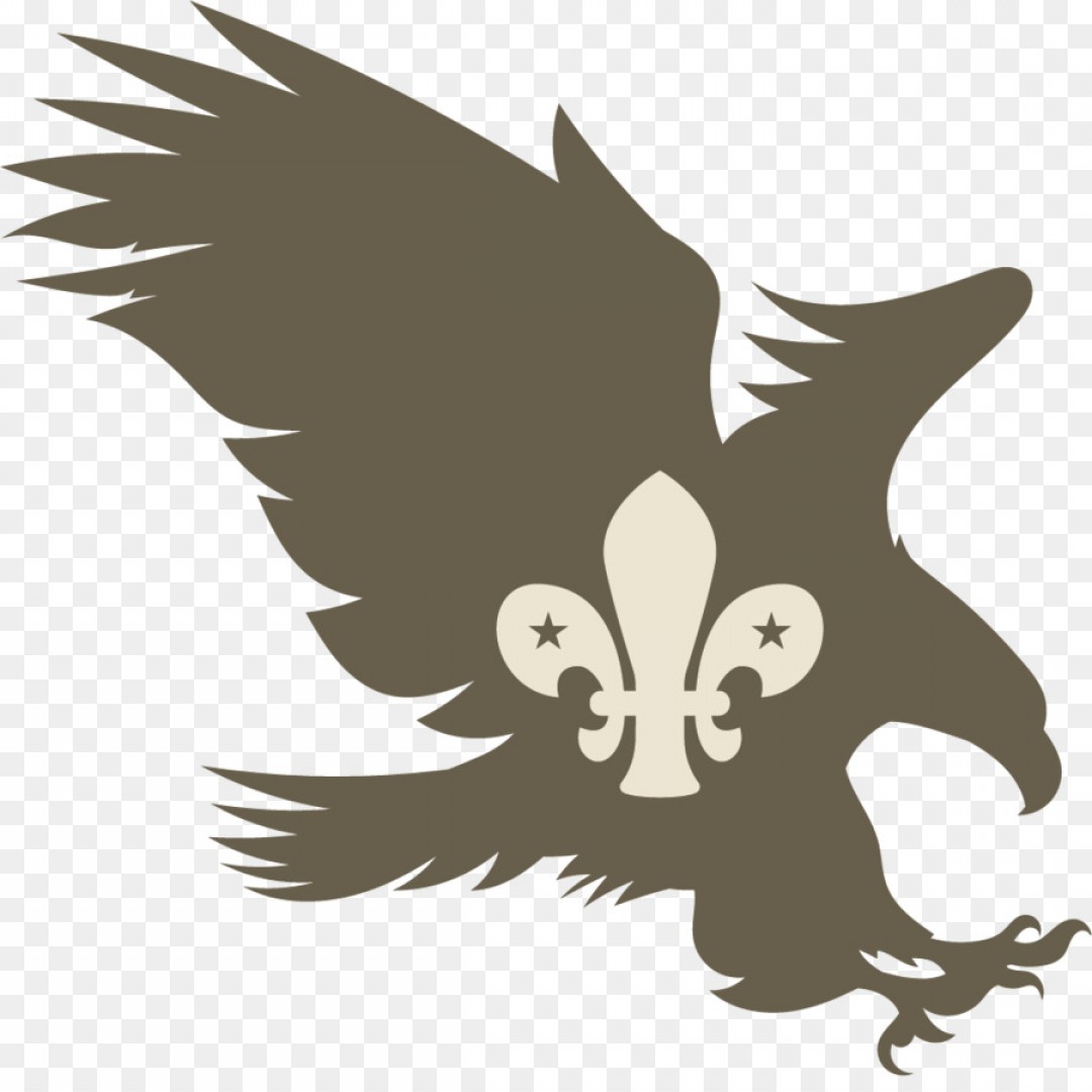 1080x1080 Png Scalable Vector Graphics Silhouette Clip Art Eagle Lazttweet