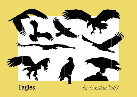 570x403 Eagle Clipart Eagle Svg Eagle Silhouette Black Bird Etsy