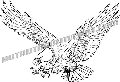 500x343 Eagle Descending Vector Clip Art, Buy Two Images Get One Image Free
