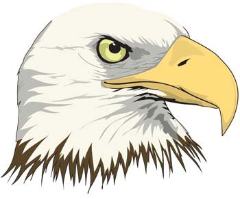 350x291 Free Eagle Vector 10 Clipart And Vector Graphics