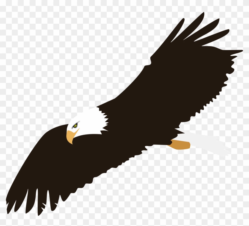 840x763 Soaring Bald Eagle Vector Clipart Image