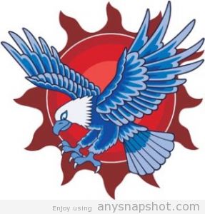 287x300 Eagle Photos Free Download