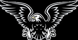 300x154 Eagle Vector Luxury Eagle Logo Vectors Free Download 3axid