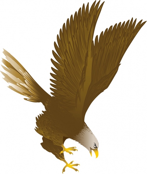 507x600 Eagle Vector Free Vector In Adobe Illustrator Ai ( .ai ) Vector