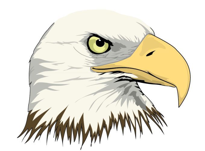 680x500 Bald Eagle Vector
