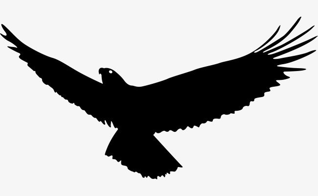 650x400 Eagle Wings, Eagle Vector, Wings Vector, Eagle Soaring Png And