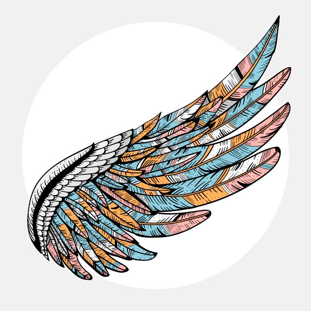 626x626 Eagle Wings Vectors, Photos And Psd Files Free Download