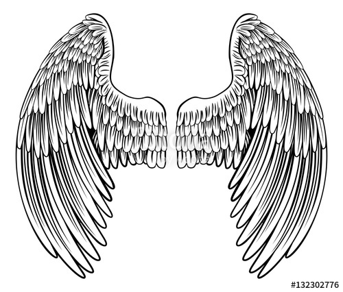 500x426 Pair Of Angel Or Eagle Wings Stock Image And Royalty Free Vector
