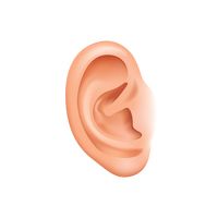 200x200 Ear Ears Body Part Body Parts Head Part Listen Hear Medical