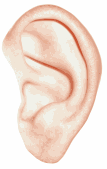 378x594 Human Ear Clip Art Free Vector 4vector
