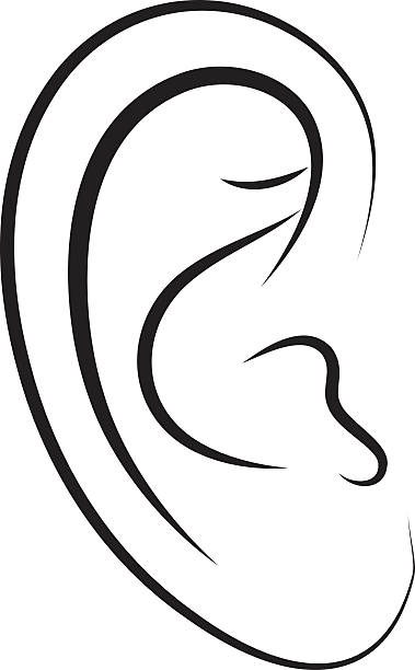 379x612 Clipart Ear Vector