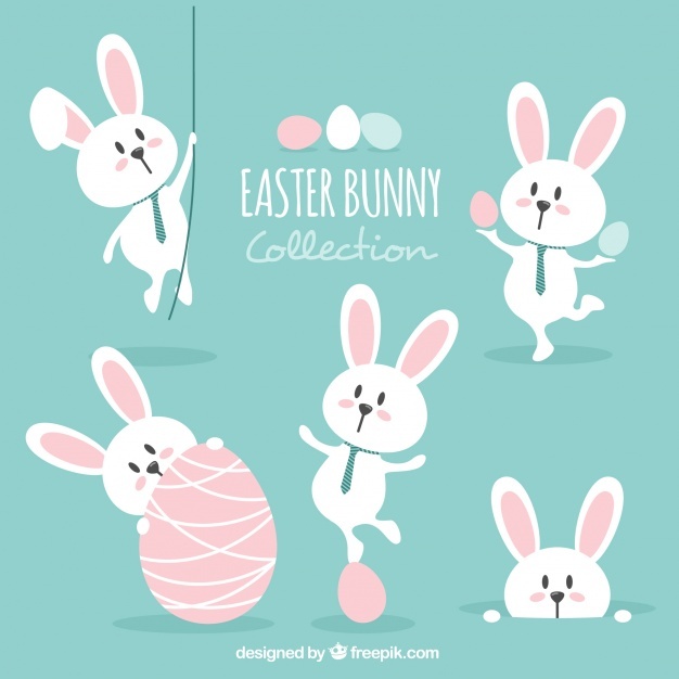 626x626 Bunny Vectors, Photos And Psd Files Free Download