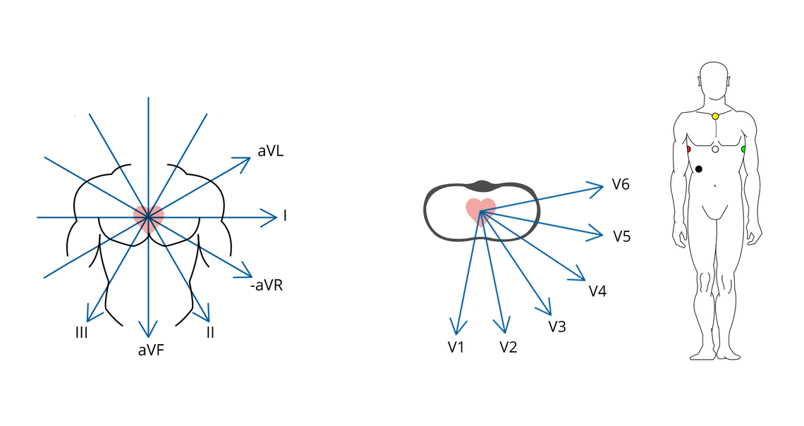 1140x604 Lead Systems How An Ecg Works Cardiosecur