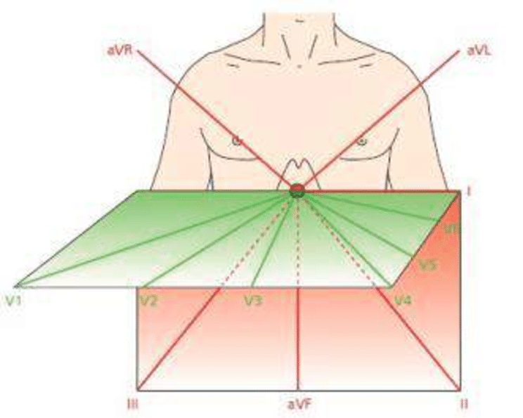 744x595 The Ecg 12 Leads Vectors [47]. Download Scientific Diagram