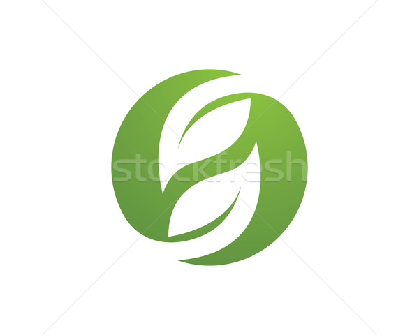 600x480 Tree Leaf Vector Logo Design, Eco Friendly Concept. Vector