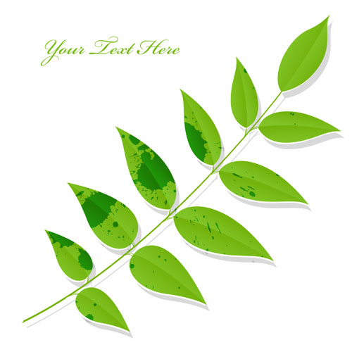 500x500 Green Leaf Eco Vector