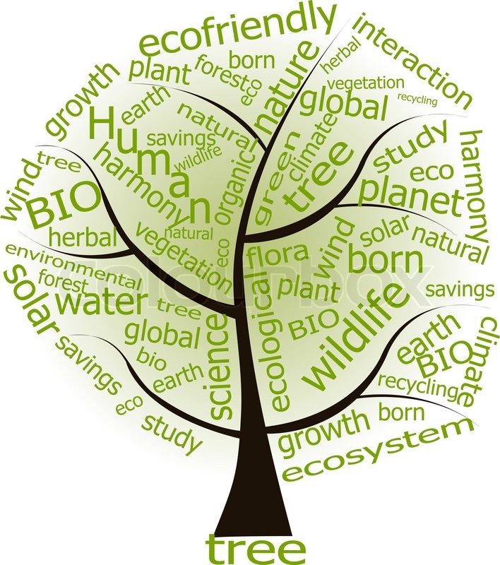 708x800 Ecologycal Tree Ecology Stock Vector Colourbox