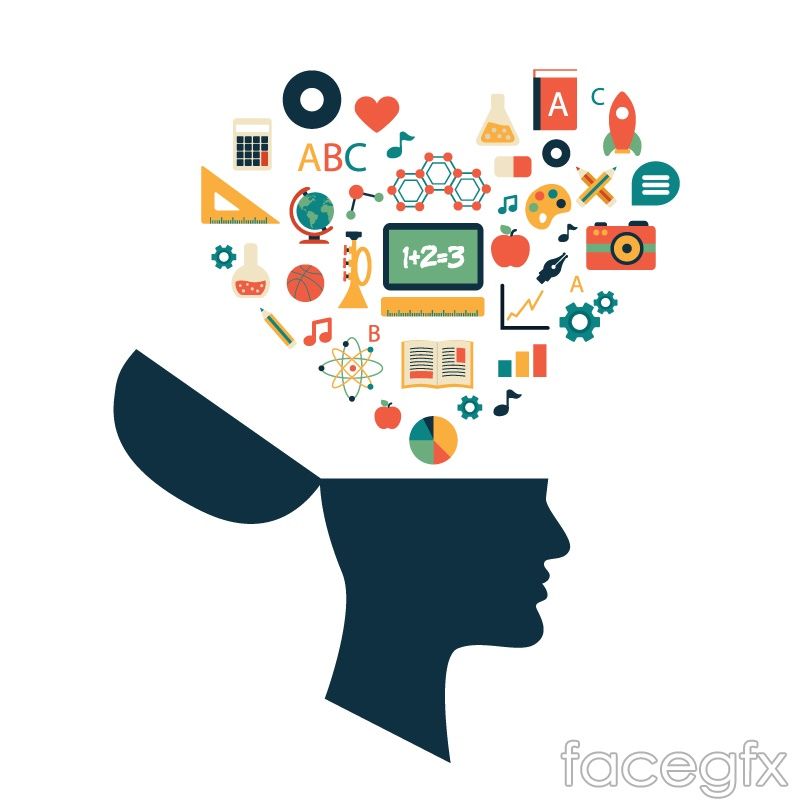 800x800 Flying Out Of The Brain S Education Design Elements Vector Math