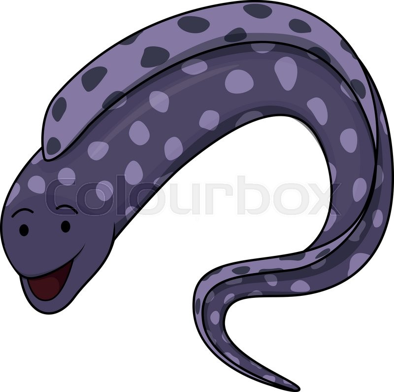 800x795 Eel Cartoon Illustration Stock Vector Colourbox