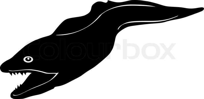 800x390 Silhouette Of Moray Eel Stock Vector Colourbox