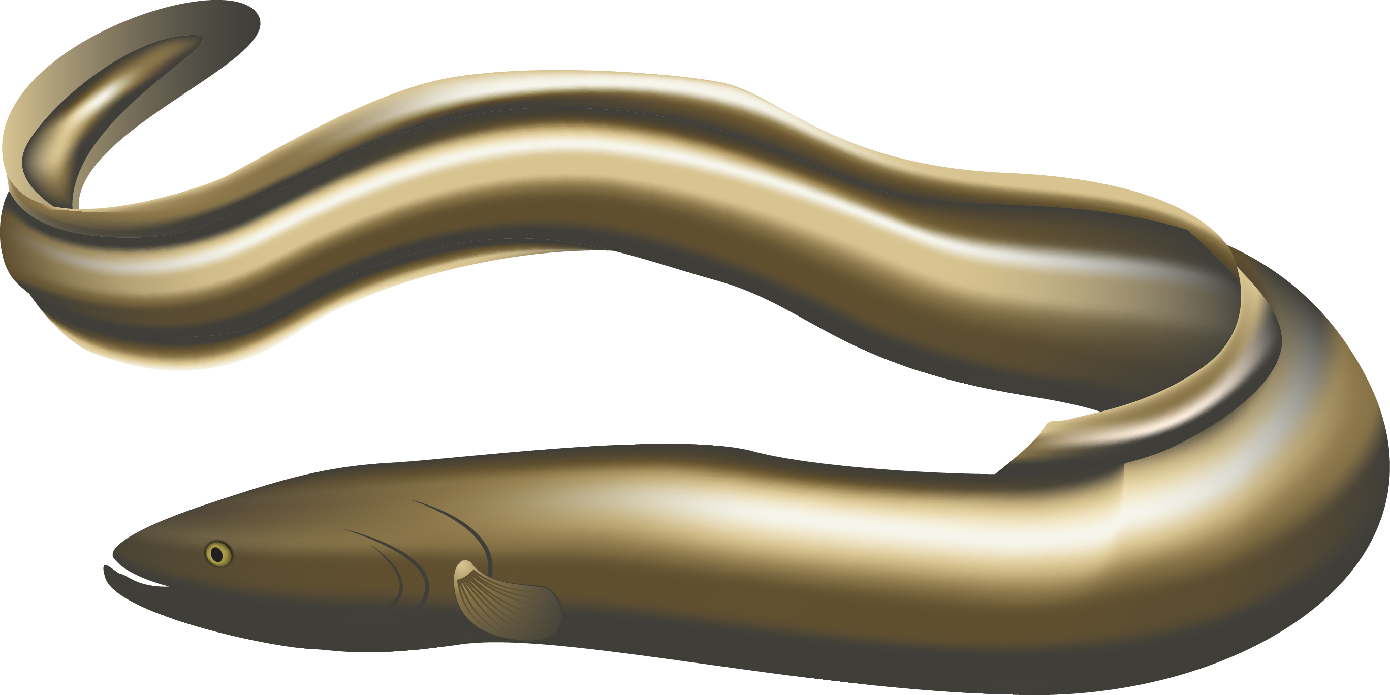 2736x1368 Something Fishy