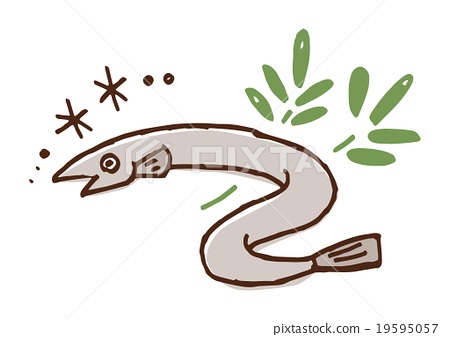 450x337 Unagi, Garden Eel, Vector