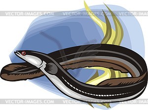 300x224 Eel