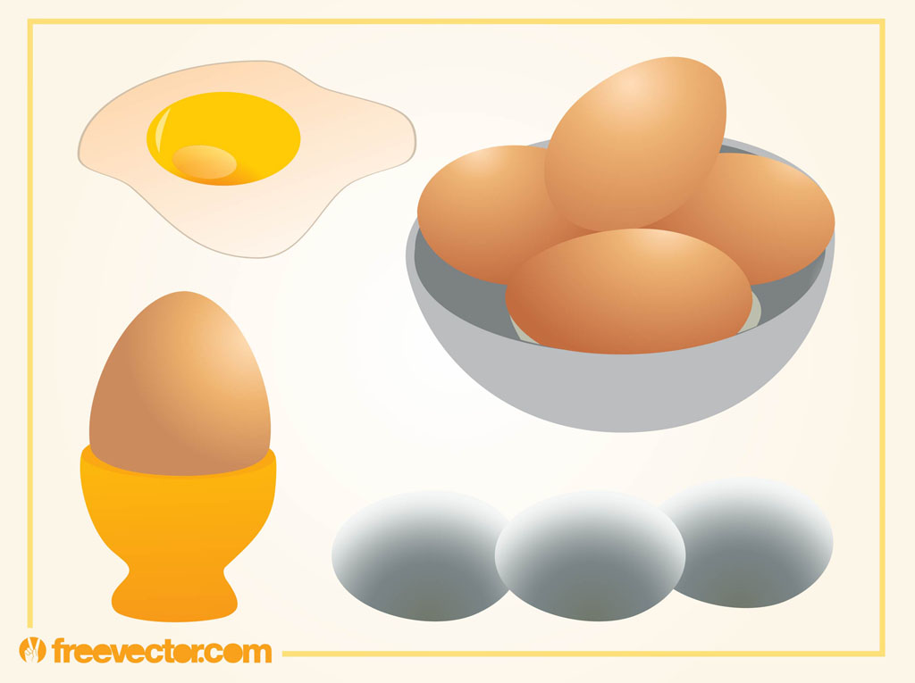 1024x765 Egg Vectors Vector Art Amp Graphics