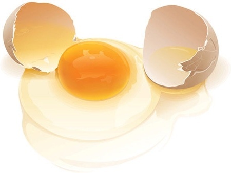 450x338 Egg Free Vector Download (756 Free Vector) For Commercial Use