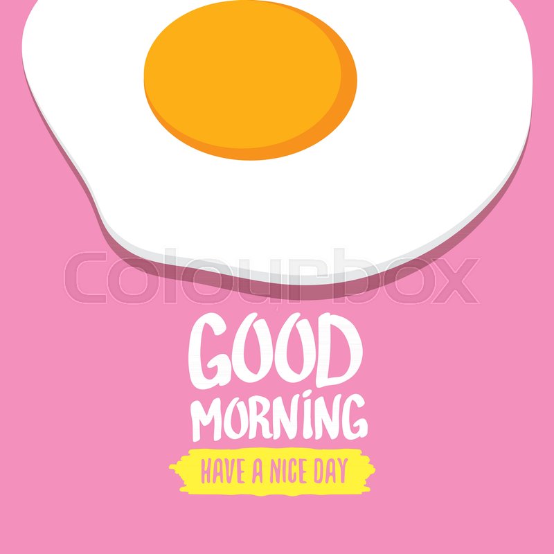 800x800 Fried Egg Vector Illustration. Good Morning Concept. Breakfast