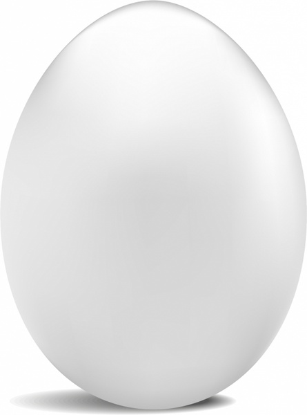 445x600 White Egg Free Vector In Adobe Illustrator Ai ( .ai
