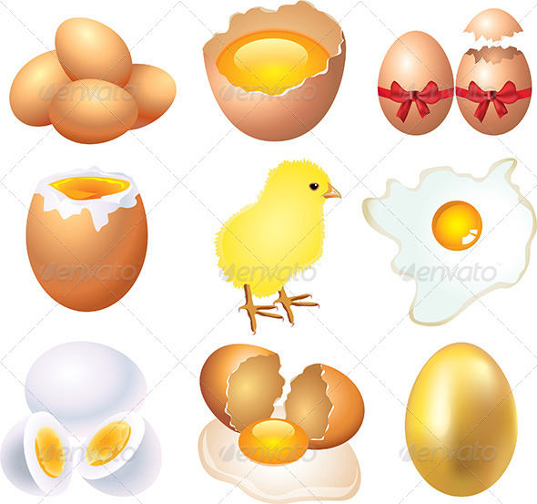 590x553 Different Conditions Of Eggs Vector Set By Andegro4ka Graphicriver