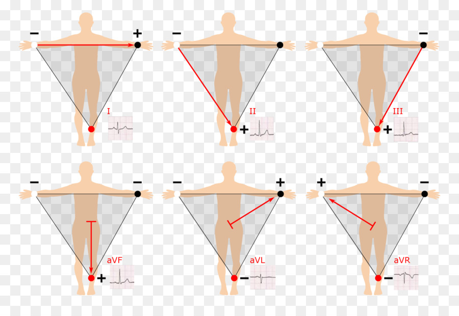 Ekg Vector at GetDrawings | Free download