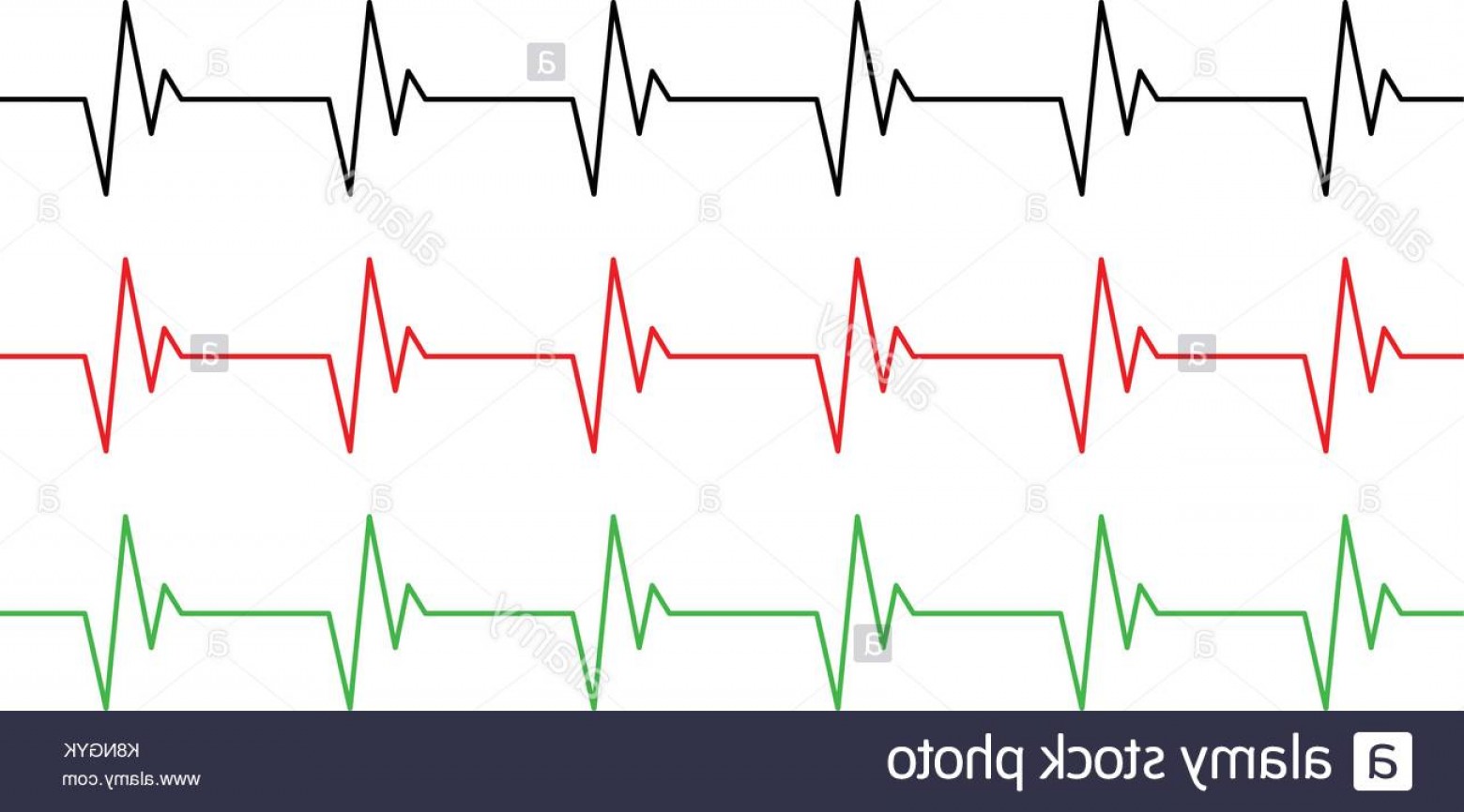 1560x866 Stock Photo Heart Rhythm Ecg Line Vector Symbol Icon Design