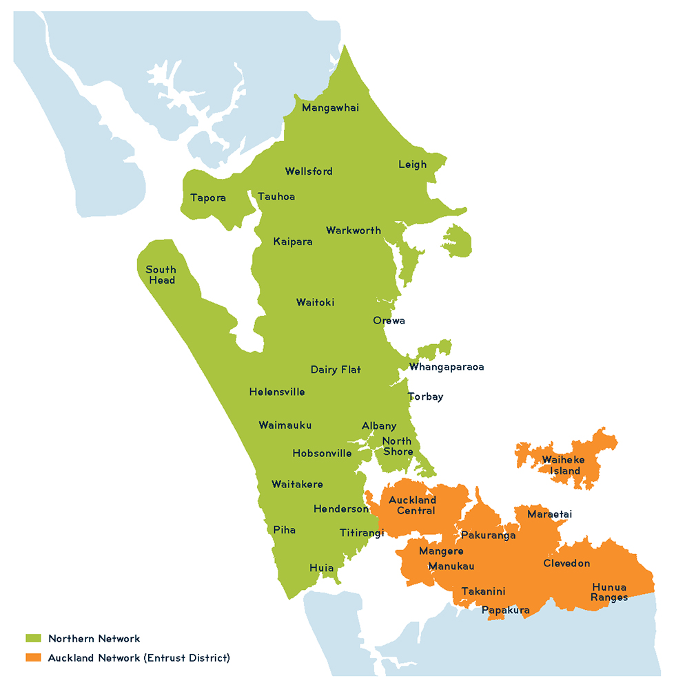 994x1001 About Our Network Vector Limited