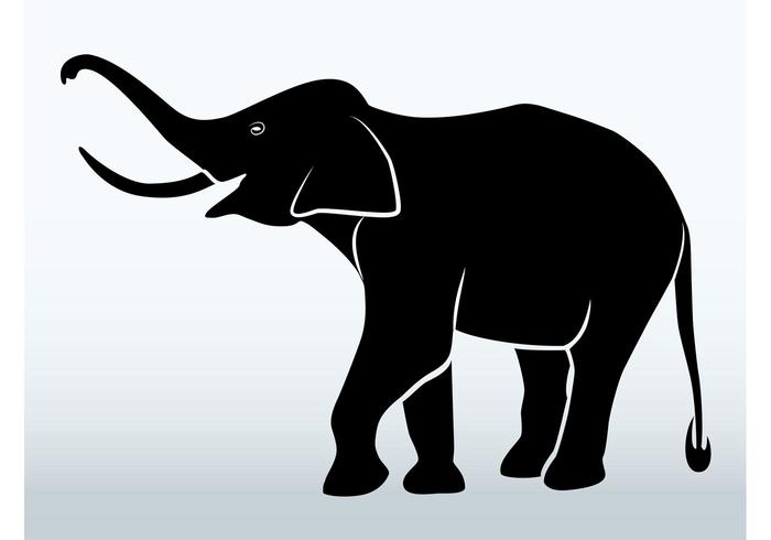 700x490 Elephant Graphic