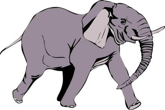 551x368 Free Download Vector Elefante Free Vector Download (7 Free Vector