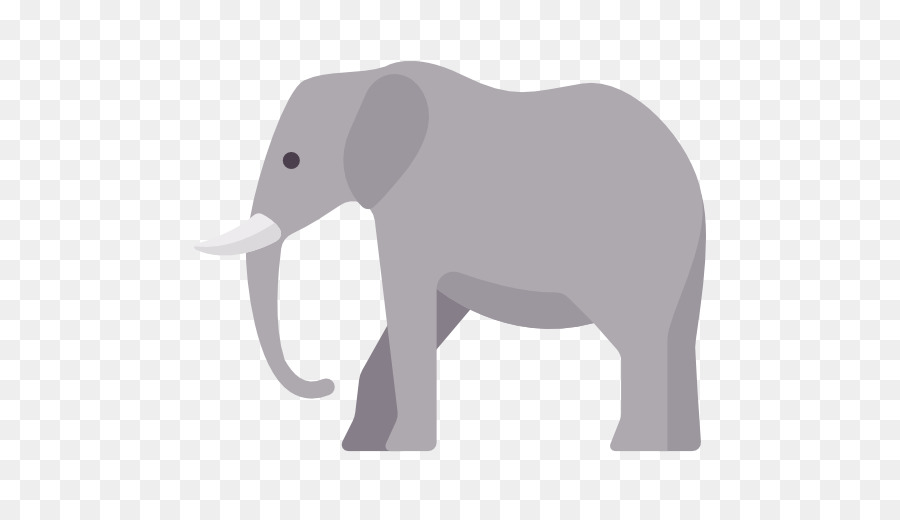 900x520 Indian Elephant African Elephant Computer Icons Elephantidae
