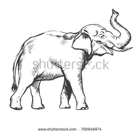 450x429 Drawn Asian Elephant Face