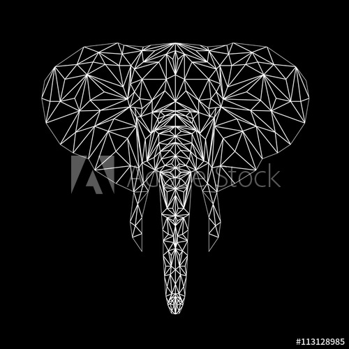 500x500 Vector Elephant Thin Line Style. Elephant Low Poly Design