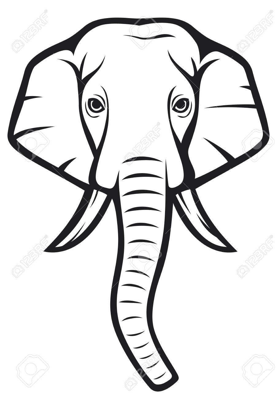 903x1300 Elephant Head Royalty Free Vector Image Vectorstock. Elephant Head