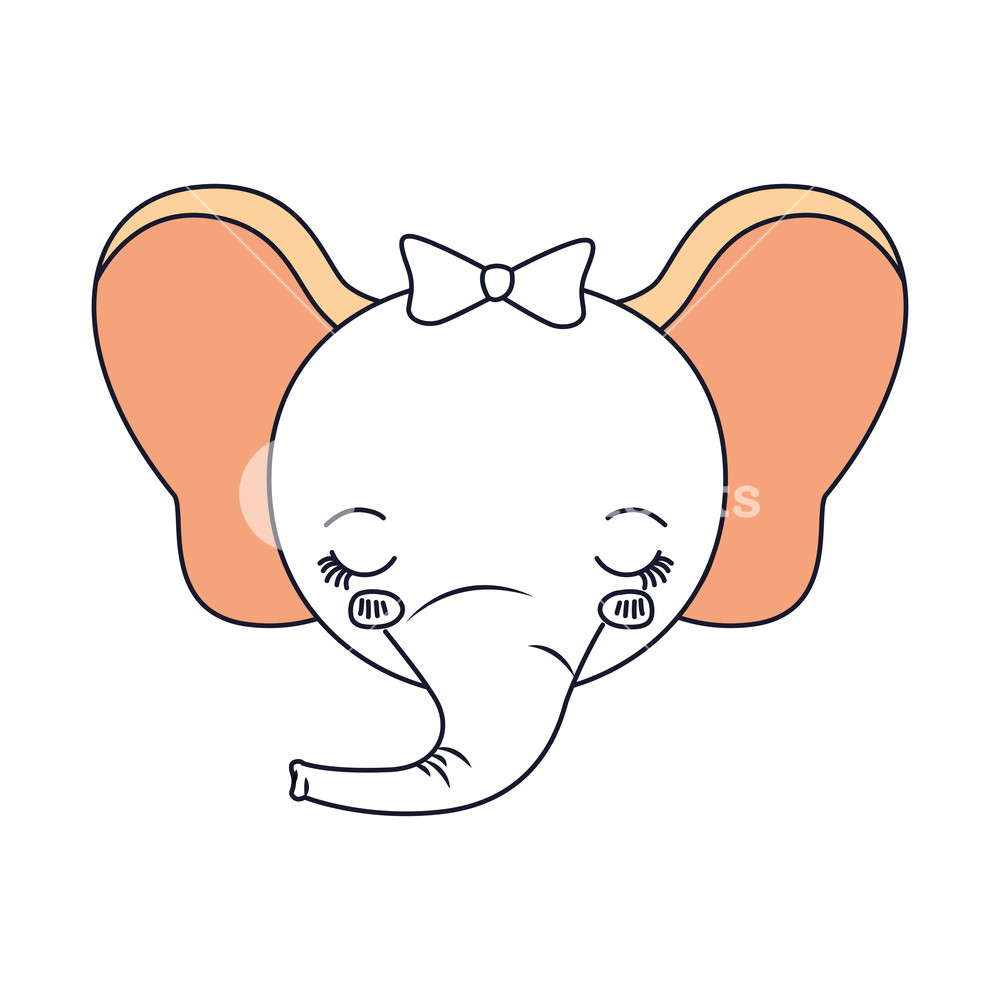 1000x1000 Silhouette Color Sections Face Of Female Elephant Animal Eyes