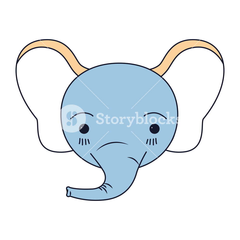 1000x1000 Silhouette Color Sections Of Cute Face Of Elephant Tranquility