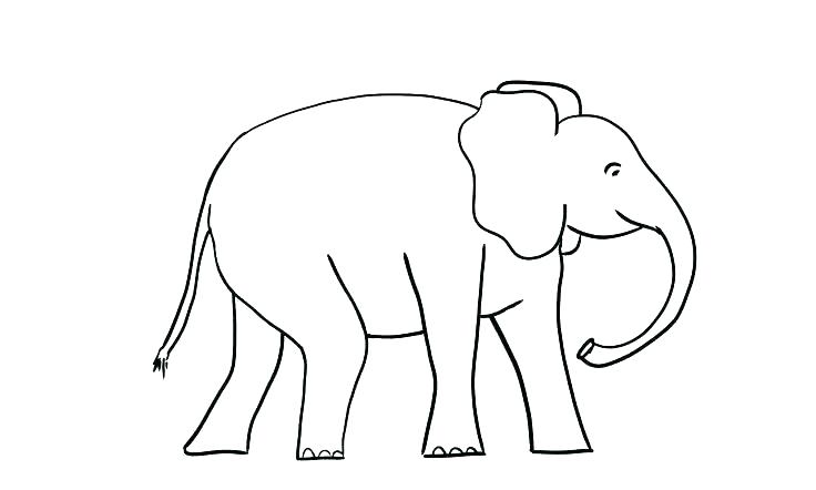 736x442 Coloring Pages Of Elephants Elephant Face Coloring